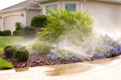 Sprinkler Installation and Repair