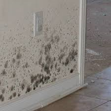 Water Leak Detection Service