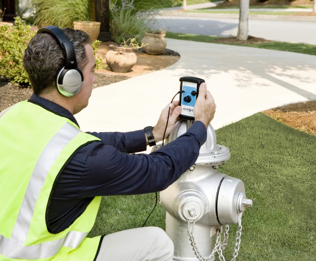 Wellington Leak Detection