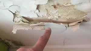 Palm Beach Water Leak Detection Service